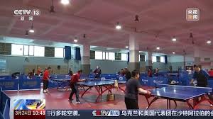 bwin 室内健身器材划船器